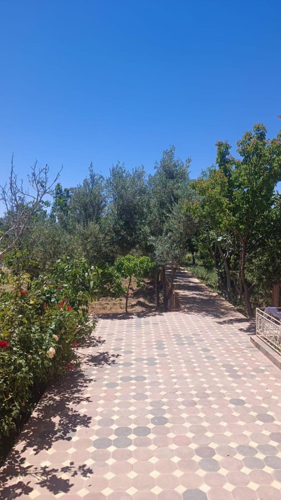 Chez L'Habitant Amazigh Ouarzazate Buitenkant foto